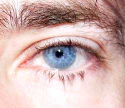 Brunel - Keerbergen - Brabant flamand | Rencontre Discrète